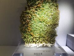 -湖南省地质博物馆