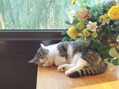 -IFIF 如果花園(宽厚里店)