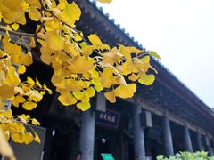 -大学习巷清真寺