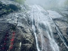 -王顺山国家森林公园