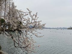 -浙江西子宾馆·牡丹厅
