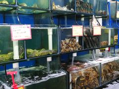 水产区-蚝专家(北滘店)