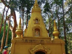 -桤木河湿地公园