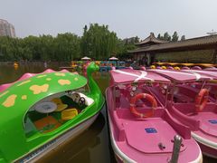 -团结湖公园
