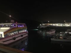-南丫岛