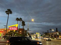 -In-N-Out Burger(LAX)