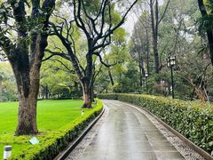 -复旦大学附属华山医院(总院)