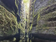 -梭布垭石林景区