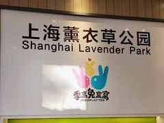 -季高兔窝窝亲子园(上海薰衣草公园店)