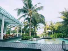 -瑰丽酒店·海吧·天际下午茶·现场DJ·天台酒吧