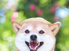 -合肥融创水世界