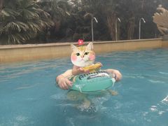 -龙达温泉生态城