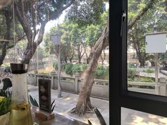 -探窝·竹笙椰子鸡(杨箕店)