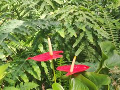 -北京植物园-展览温室