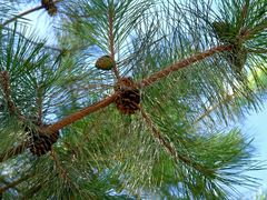 -张掖大佛寺景区