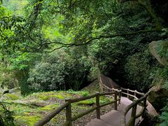 -碧峰峡风景区