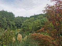 -缙云山景区