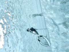 -青鱼湾水上乐园