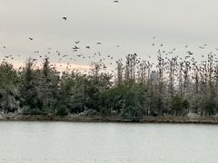 -东湖落雁景区