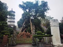 -国恩寺