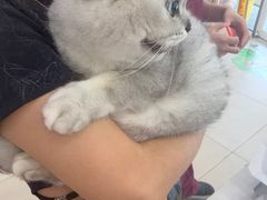 -艾贝尔宠物医院 ·中兽医·宠保定点(北门桥店)