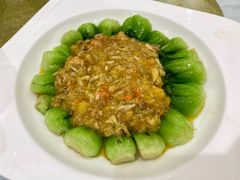 蟹粉菜心-光明邨大酒家(汇阳广场店)