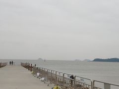 -野狸岛