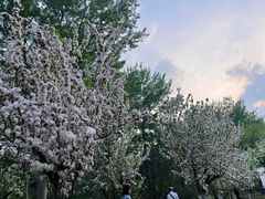 -元大都城垣遗址公园