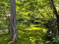 -三千院