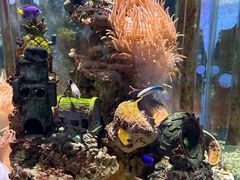 -太平洋海底世界