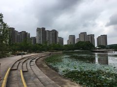 -新江湾城公园