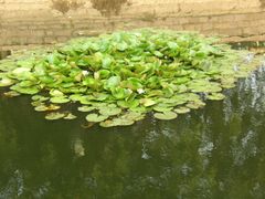 入口处的水塘-青岛第二海水浴场