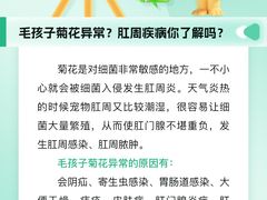 -瑞派申生动物医院·24H夜诊·国际动物医疗中心·骨外科(吴中路店)