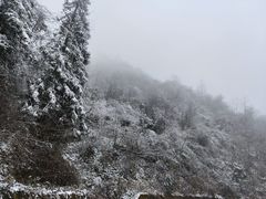 -武陵山森林公园