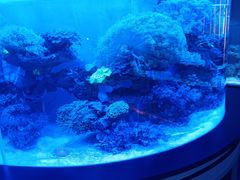 -上和臻品中国菜(花园街店)