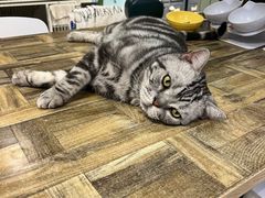 -小时光咖啡馆(北锣鼓巷店)