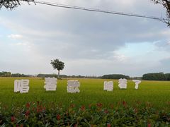 -嘉北郊野公园