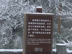 -峨眉山风景名胜区
