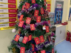 -皇家茱莉亚艺术明星训练基地