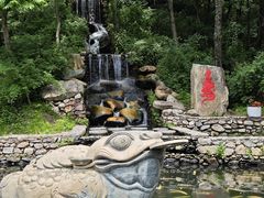 -大连天门山国家森林公园