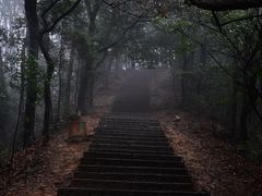 -云栖竹径