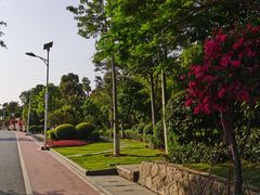 -仙岳公园