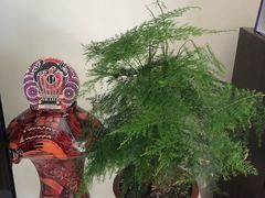 -双季花艺园艺市场(浦东店)