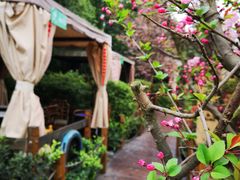 -二荆条·蜀鲜汇城市森林火锅