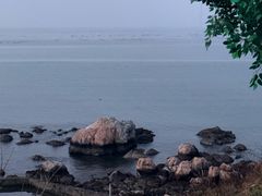 -养马岛旅游度假区