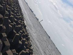 -上海滨江森林公园