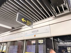 -陆家浜路(地铁站)