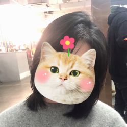 -蚂蚁造型沙龙
