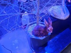 -营信刘罗锅铁锅炖(建华店)
