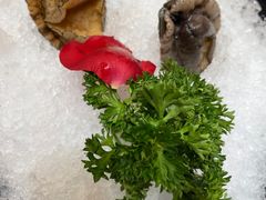 -帝皇海海鲜豆捞(桐泾商务广场店)